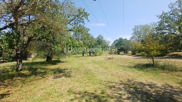terreno agricolo in vendita a Sarteano