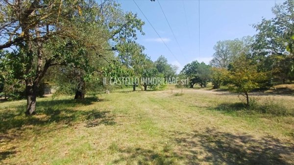 terreno agricolo in vendita a Sarteano