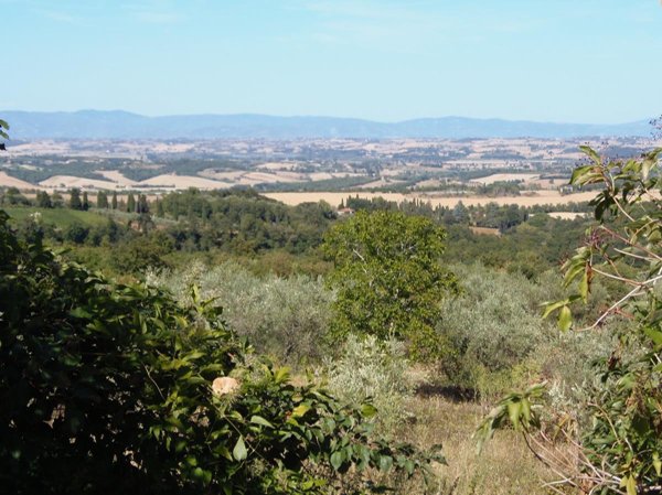casa indipendente in vendita a Sarteano in zona Castiglioncello del Trinoro