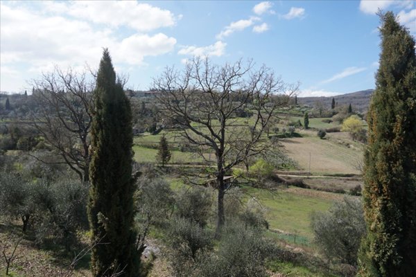 casa indipendente in vendita a Sarteano in zona Castiglioncello del Trinoro