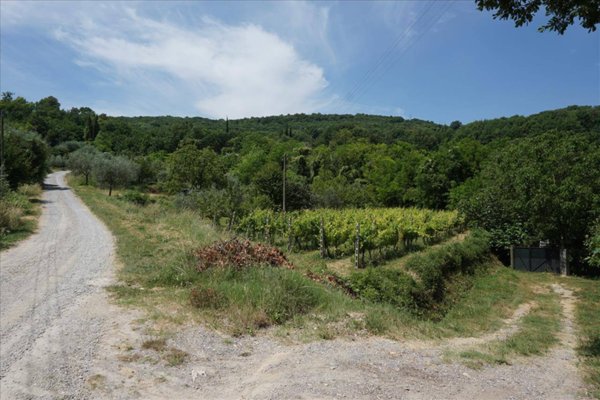 terreno in vendita a Sarteano in zona Castiglioncello del Trinoro