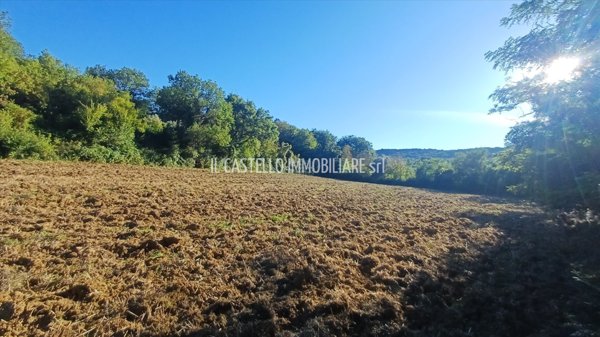terreno agricolo in vendita a Sarteano in zona Castiglioncello del Trinoro
