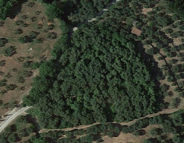 terreno agricolo in vendita a Sarteano in zona Castiglioncello del Trinoro