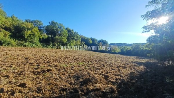 terreno agricolo in vendita a Sarteano in zona Castiglioncello del Trinoro