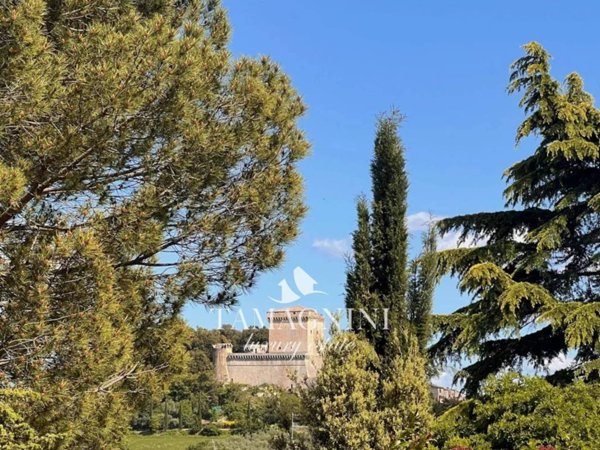 appartamento in vendita a Sarteano