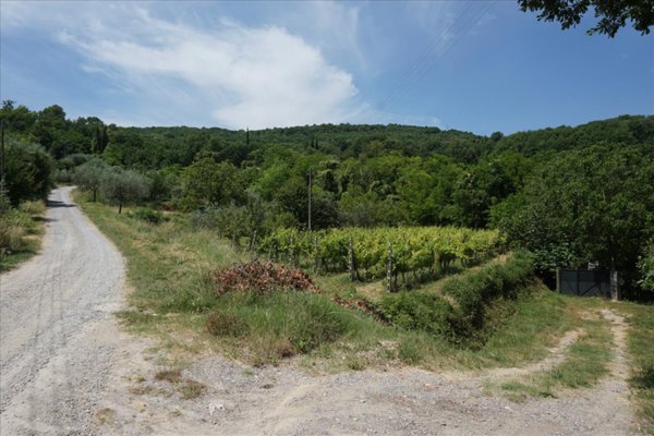 terreno agricolo in vendita a Sarteano in zona Castiglioncello del Trinoro