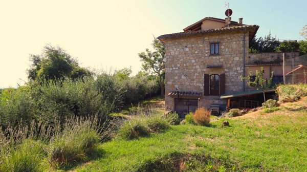 casa indipendente in vendita a Sarteano in zona Castiglioncello del Trinoro