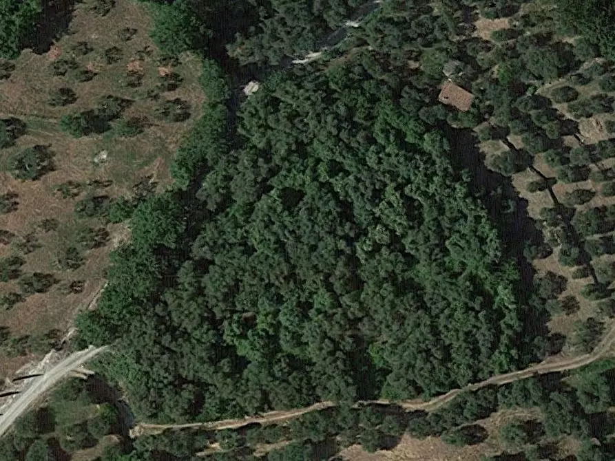 terreno agricolo in vendita a Sarteano