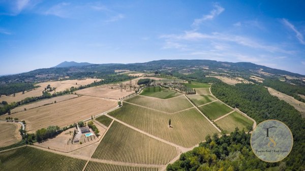 casa indipendente in vendita a Sarteano