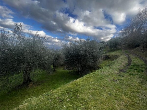 terreno in vendita a Sarteano