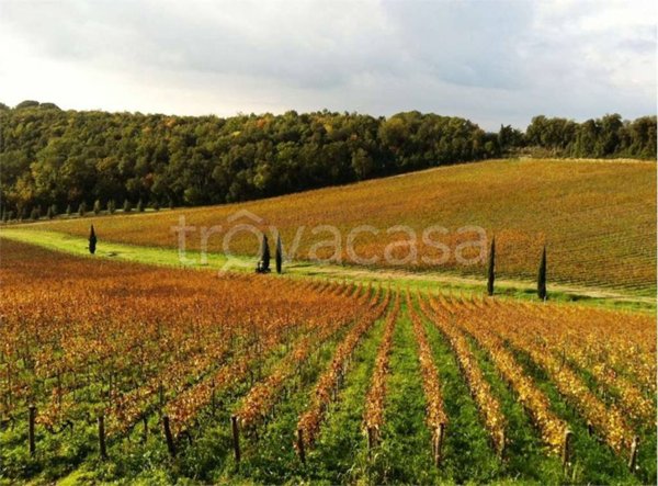 ufficio in vendita a Siena in zona Leccio