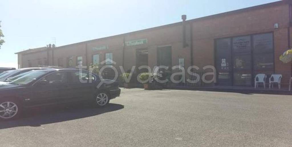 negozio in vendita a Siena in zona Coroncina
