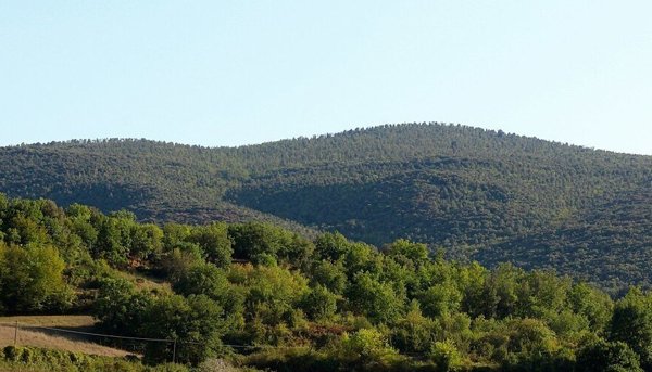 appartamento in vendita a Siena in zona Leccio