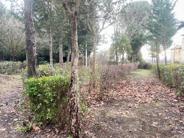 casa indipendente in vendita a Siena