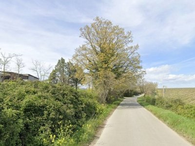 azienda agricola in vendita a Siena