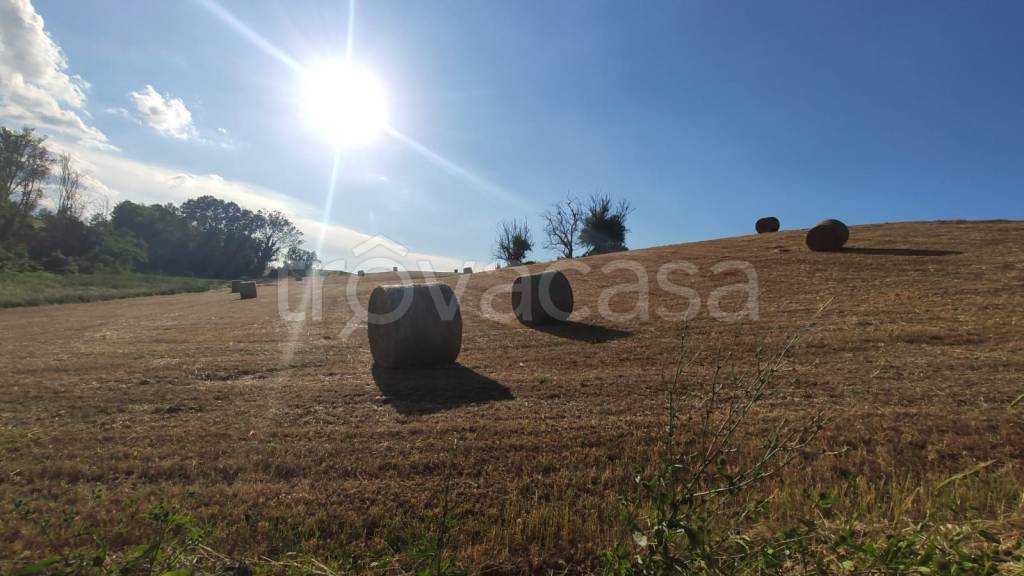 terreno agricolo in vendita a Siena in zona Cerchiaia