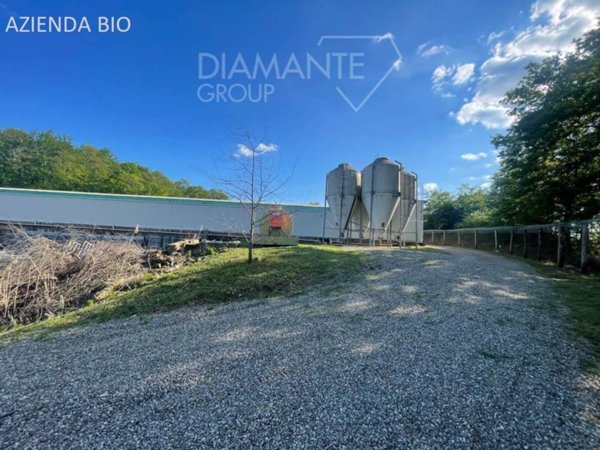 azienda agricola in vendita a Siena in zona Centro Città