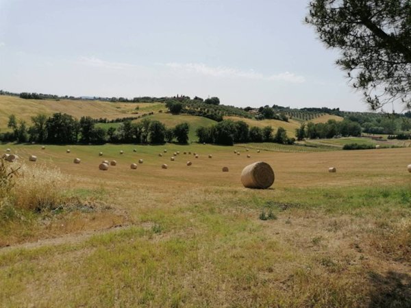 terreno agricolo in vendita a Siena in zona Taverne d'Arbia