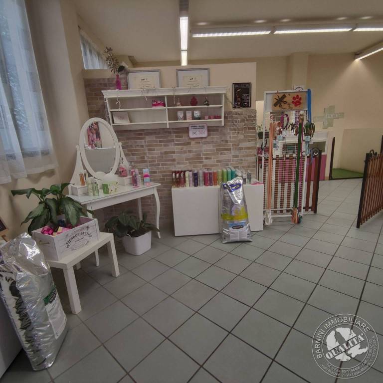 appartamento in vendita a Siena