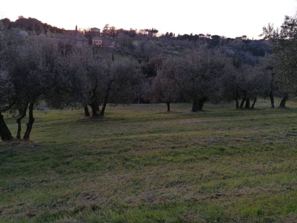 terreno agricolo in vendita a Siena