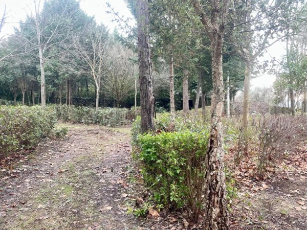 terreno agricolo in vendita a Siena in zona Montalbuccio
