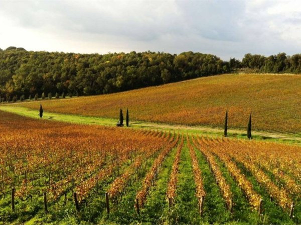 casa indipendente in vendita a Siena in zona Centro Città