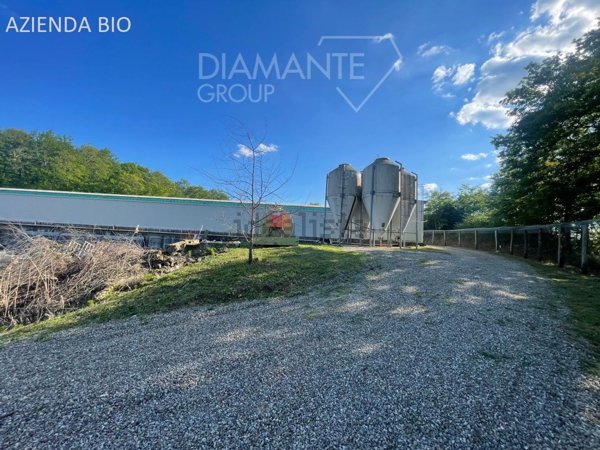 azienda agricola in vendita a Siena