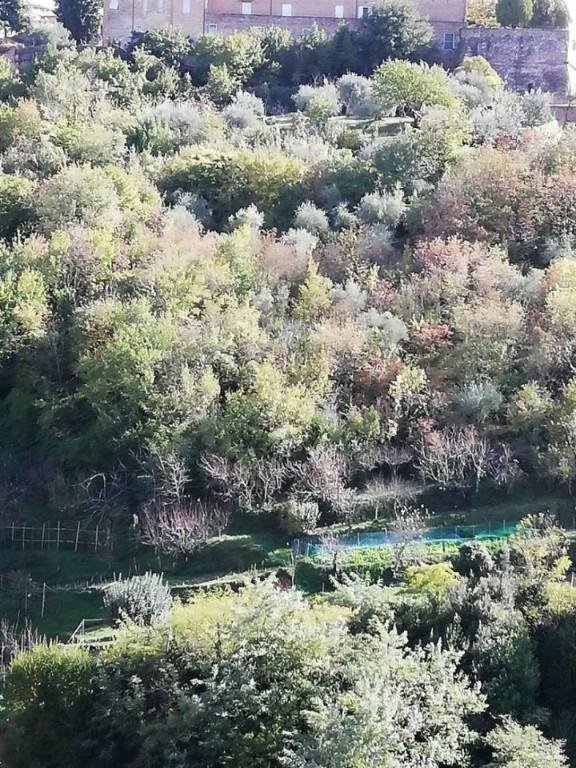 appartamento in vendita a Siena in zona Centro Città