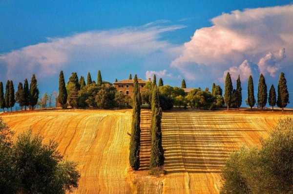 negozio in vendita a Siena