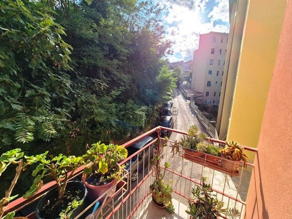 appartamento in vendita a Siena