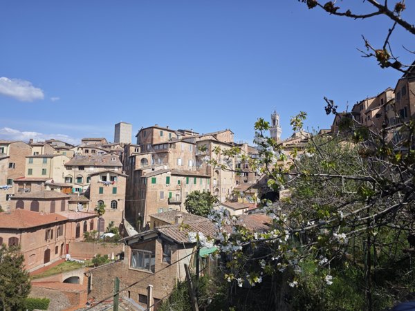 appartamento in vendita a Siena in zona Centro Città