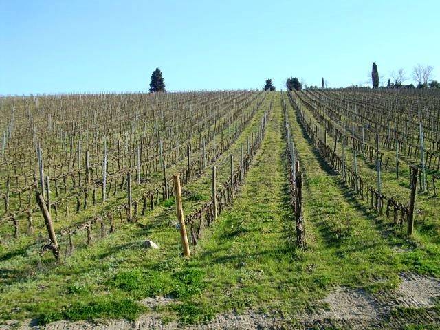 negozio in vendita a Siena in zona Coroncina