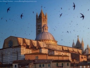 negozio in vendita a Siena