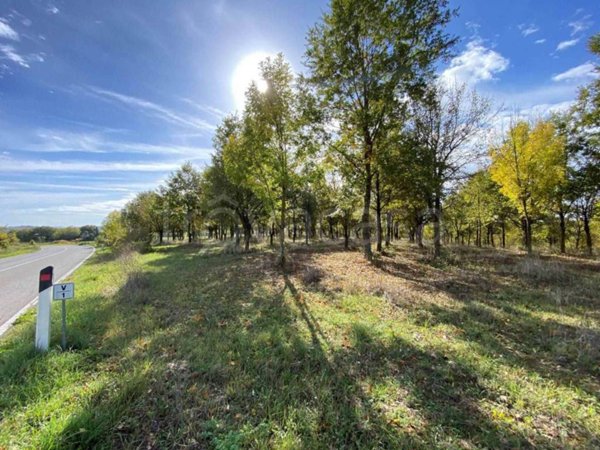 terreno agricolo in vendita a Siena in zona Cerchiaia