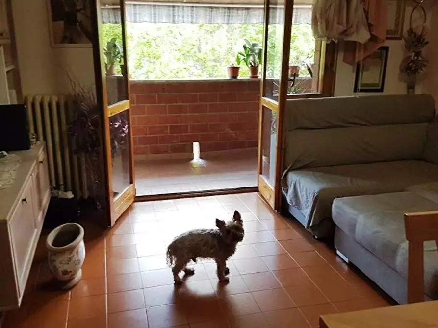 appartamento in vendita a Siena