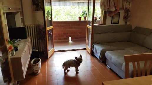 appartamento in vendita a Siena