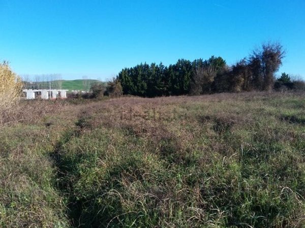 terreno agricolo in vendita a Siena in zona Isola d'Arbia