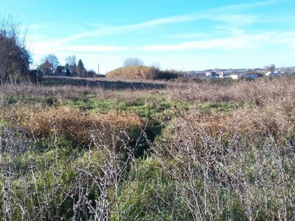 terreno agricolo in vendita a Siena in zona Isola d'Arbia