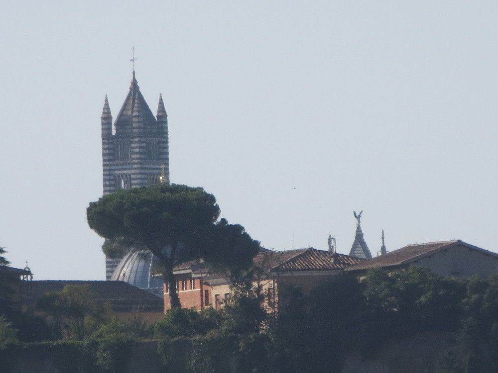 appartamento in vendita a Siena