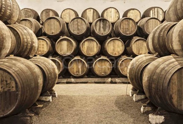 negozio in vendita a Siena in zona Centro Città