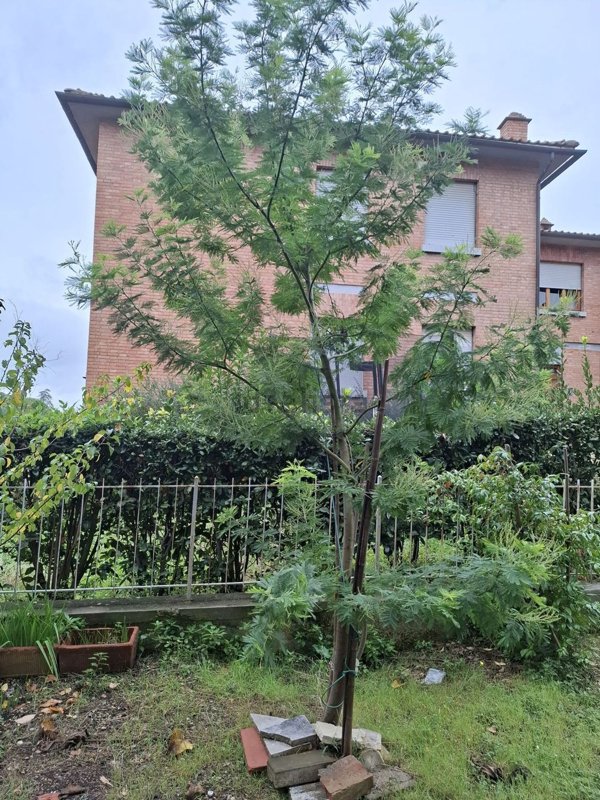 appartamento in vendita a Siena