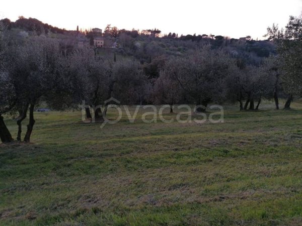 terreno agricolo in vendita a Siena