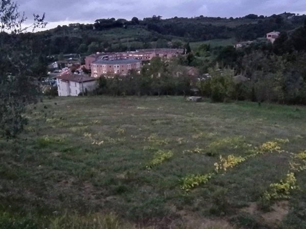 terreno agricolo in vendita a Siena