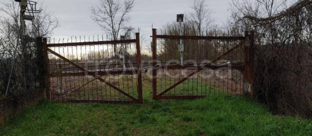 terreno agricolo in vendita a Siena in zona Taverne d'Arbia