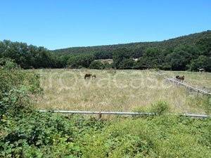 casa indipendente in vendita a Siena