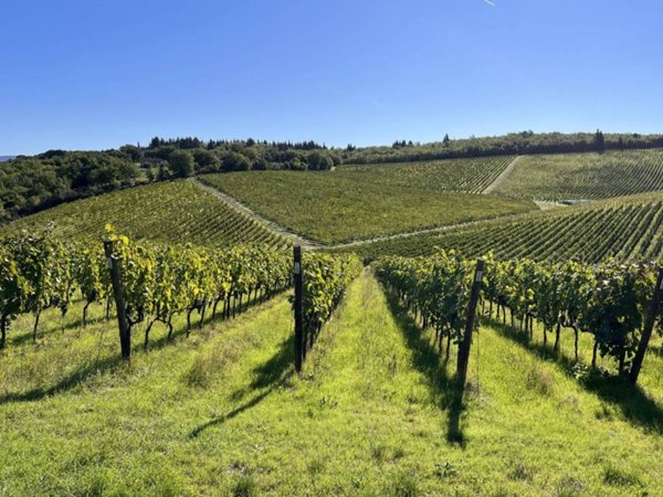 intera palazzina in vendita a Siena in zona Montalbuccio
