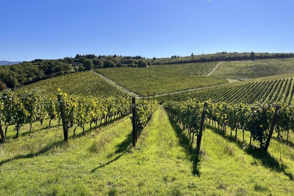 appartamento in vendita a Siena