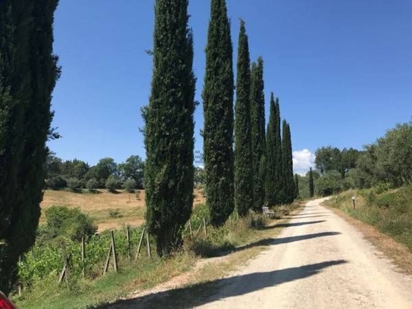 casa indipendente in vendita a Siena in zona Centro Città