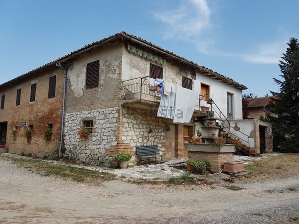 esavano in vendita a Siena in zona Fogliano Grosso