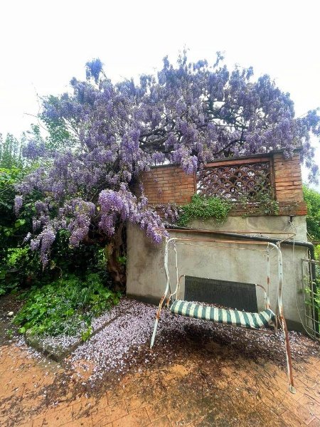 appartamento in vendita a Siena in zona Centro Città